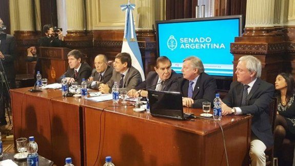 Aranguren justificó el tarifazo ante los senadores