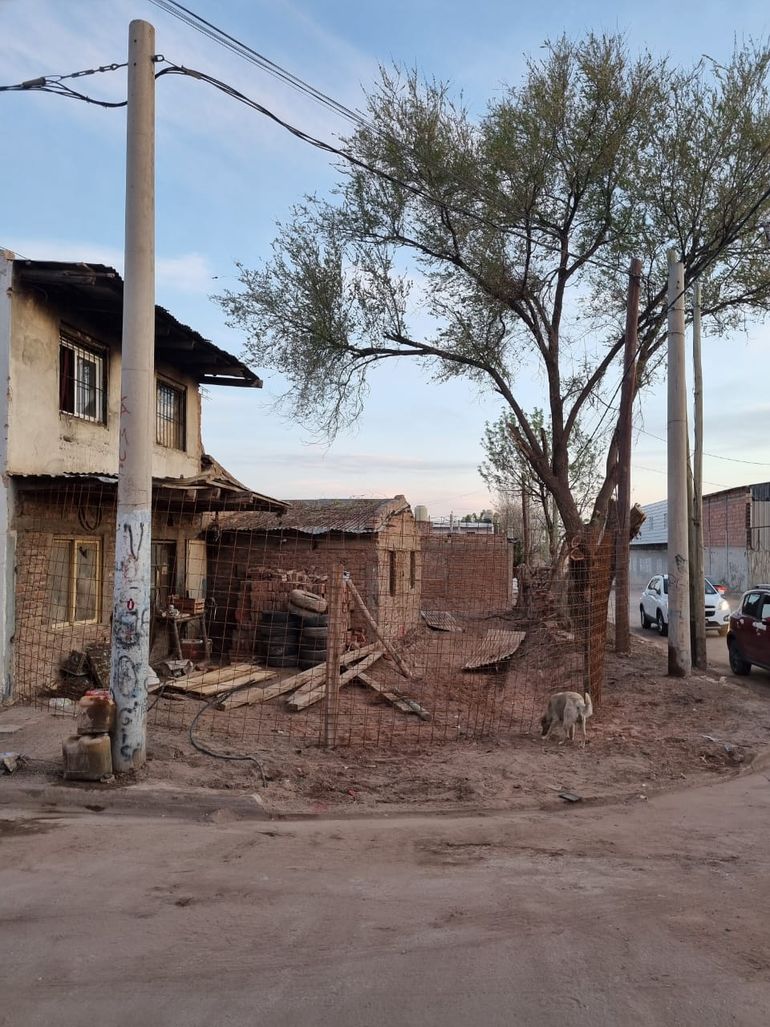 Así quedó el patio de la vivienda tras la enorme limpieza. 