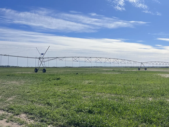 Aseguran que el objetivo es avanzar hacia una mayor autosuficiencia en la producción de alimentos Aseguran que el objetivo es avanzar hacia una mayor autosuficiencia en la producción de alimentos