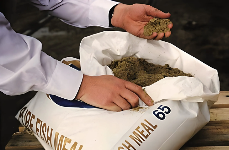 La caída en la producción mundial de harina de pescado pone en riesgo la sustentabilidad de la actividad acuícola. La caída en la producción mundial de harina de pescado pone en riesgo la sustentabilidad de la actividad acuícola.