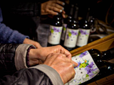 Apasionadas, el vino hecho 100% por mujeres.