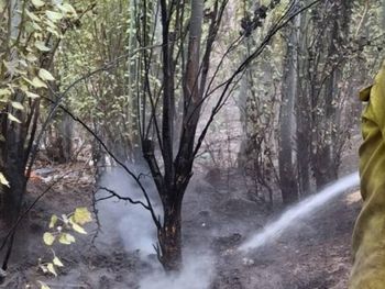El incendio alertó a los vecinos de la ciudad.&nbsp;