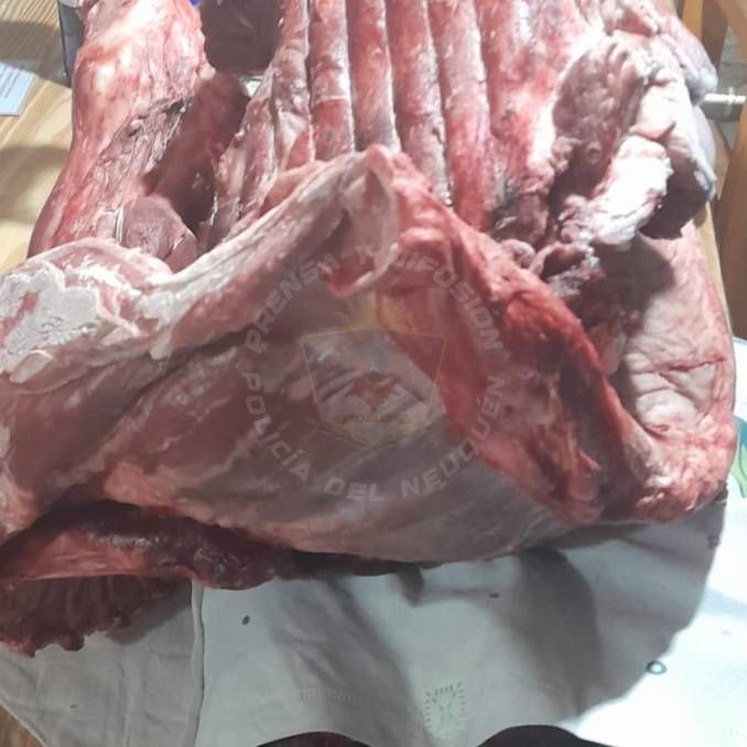 Los cortes de carne del ternero robado el martes eran ofrecidos en las redes sociales.