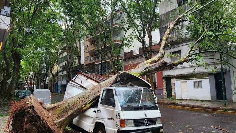 Varios vehículos fueron aplastados por árboles en Capital Federal. Varios vehículos fueron aplastados por árboles en Capital Federal.