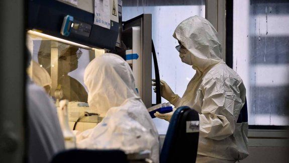 Alarma: en Holanda y Bélgica también hay reinfectados de coronavirus