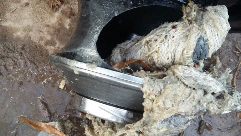 Caños tapados: en Centenario denuncian sabotaje en las cloacas