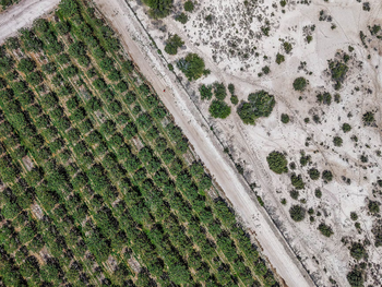 Vista aérea de la región árida en la provincia de San Juan.Celina Mutti Lovera (Dialogue Earth) Vista aérea de la región árida en la provincia de San Juan.Celina Mutti Lovera (Dialogue Earth)
