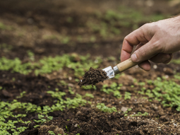 La iniciativa busca reducir la erosión hídrica, mejorar la infraestructura vial rural y fortalecer la sostenibilidad. La iniciativa busca reducir la erosión hídrica, mejorar la infraestructura vial rural y fortalecer la sostenibilidad.