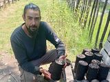 El proyecto aprovecha orujo de pera y cáscaras de nuez para producir un combustible de alto poder calórico y bajo impacto ambiental.