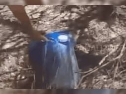 Un bidón de nafta en la zona de los incendios forestales generó alarma. ¿Qué pasó? Un bidón de nafta en la zona de los incendios forestales generó alarma. ¿Qué pasó?