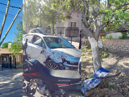 choco postes, un cartel y un arbol en neuquen: destruyo el vento y se dio a la fuga caminando choco postes, un cartel y un arbol en neuquen: destruyo el vento y se dio a la fuga caminando