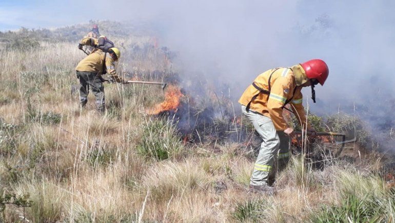 Contuvieron un incendio forestal sobre la Ruta 40