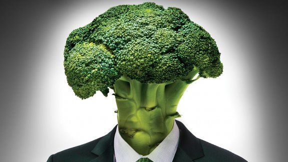 Nos preguntamos ¿existen vinos para los veganos?