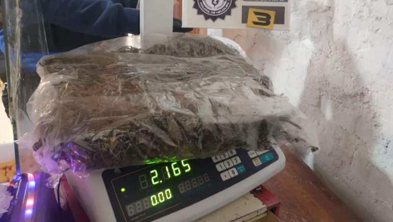 Un allanamiento en Aluminé dejó un detenido y 10 kilos de marihuana secuestrados.