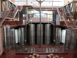 Burbujas premium: La bodega inicia la producción de su primer espumante con método tradicional. Burbujas premium: La bodega inicia la producción de su primer espumante con método tradicional.