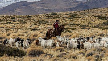 alerta por abuelos trashumantes que estuvieron en contacto con contagiados de coronavirus alerta por abuelos trashumantes que estuvieron en contacto con contagiados de coronavirus
