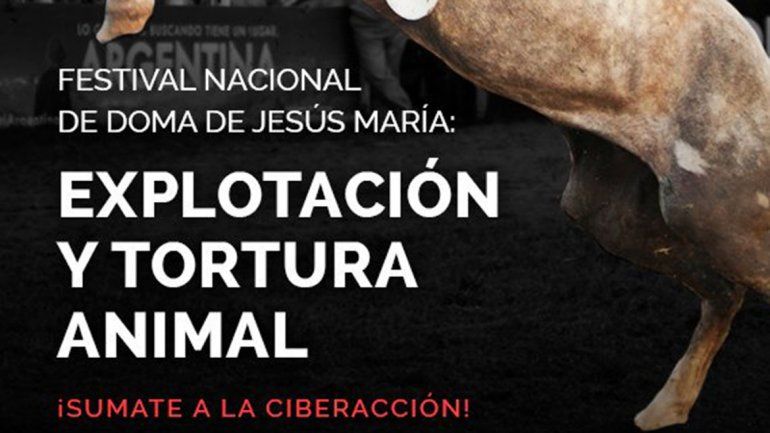 Sacrificaron a un caballo en Jesús María y hay quejas