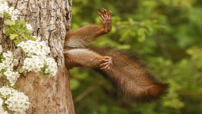 Las fotos más curiosas y divertidas