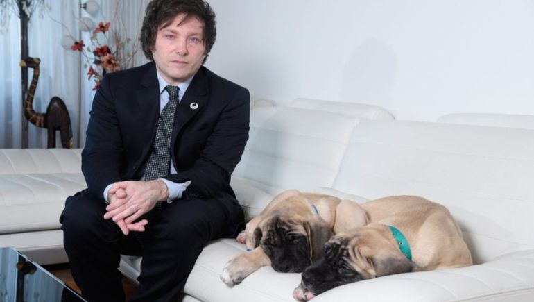 Javier Milei y sus perros. La imagen del presidente cayó pero hay un núcleo duro que defiende a capa y espada al gobierno. Javier Milei y sus perros. La imagen del presidente cayó pero hay un núcleo duro que defiende a capa y espada al gobierno.