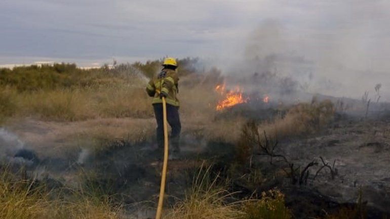 Bomberos sofocaron un incendio de pastizales en barrio El Ceibal