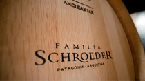 de san patricio al mundo: los vinos de bodega familia schroeder de san patricio al mundo: los vinos de bodega familia schroeder