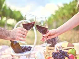 China, el objetivo de los vinos orgánicos argentinos. China, el objetivo de los vinos orgánicos argentinos.