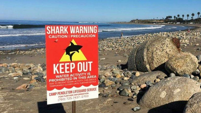 El episodio ocurrió en una playa popular de California. Se presume que el tiburón mediría unos tres metros.
