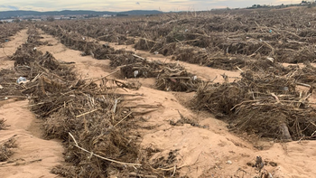 Viñas desnudas en un mundo que cada vez consume menos vino. | LM Neuquen Viñas desnudas en un mundo que cada vez consume menos vino.