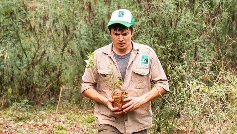 Regalarle un arbolito al planeta, la propuesta de Vida Silvestre