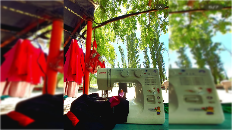 La máquina de coser H-One 2008 que se llevaron del auto.&nbsp;