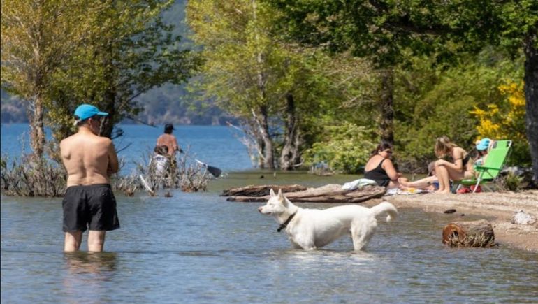 Los perros y gatos, una amenaza para el Lanín: las multas llegan a los $500 mil