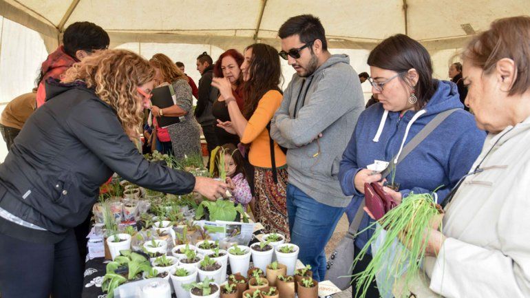Armar una huerta en la casa ayuda a llegar a fin de mes