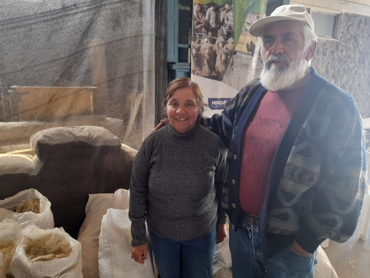 “En primavera, los animales se meten bajo los montes y la lana recoge espinas y hojas de jarilla", cuenta Apollinario. “En primavera, los animales se meten bajo los montes y la lana recoge espinas y hojas de jarilla", cuenta Apollinario.