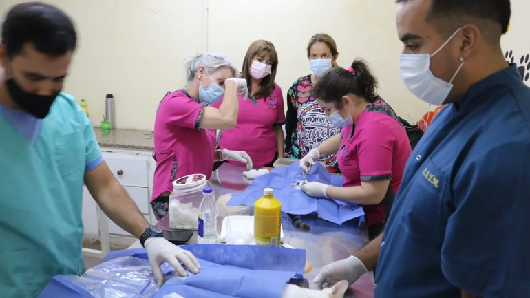 La Muni de Neuquén realizó más de 78 mil castraciones