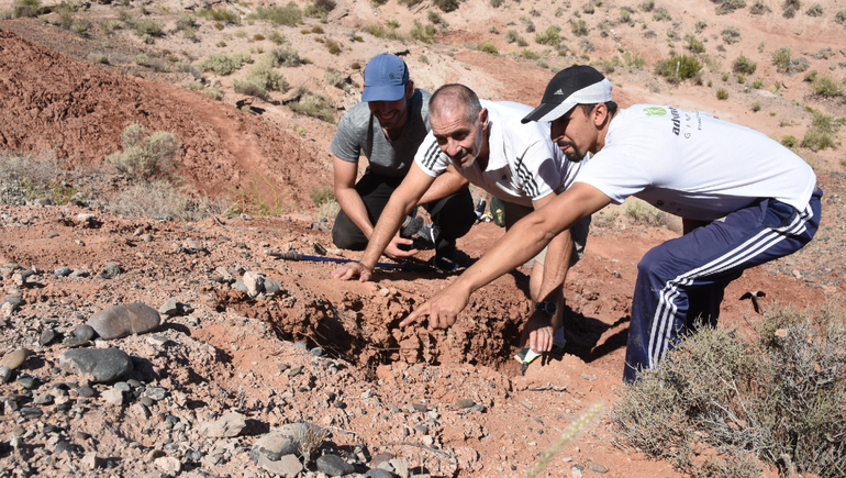Los huevos de dinosaurios que atesora la barda en el oeste