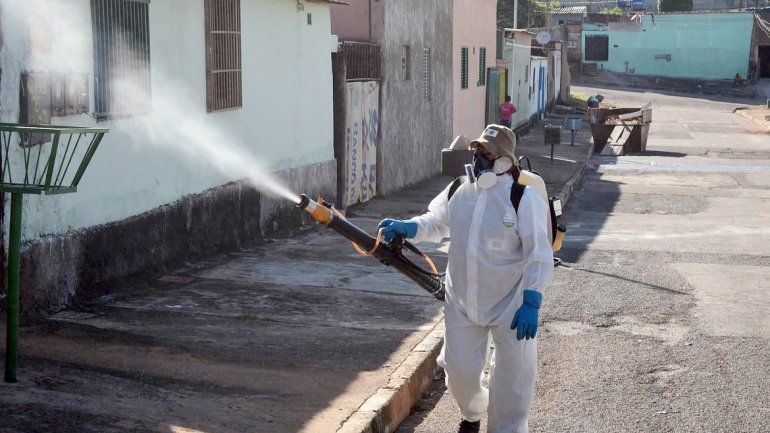 Marzo y abril son los meses de mayor contagio.