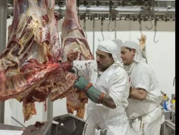 Las exportaciones de carne bovina sumaron casi 403.100 toneladas en los primeros siete meses, mientras que el valor promedio por tonelada aumentó con fuerza.
