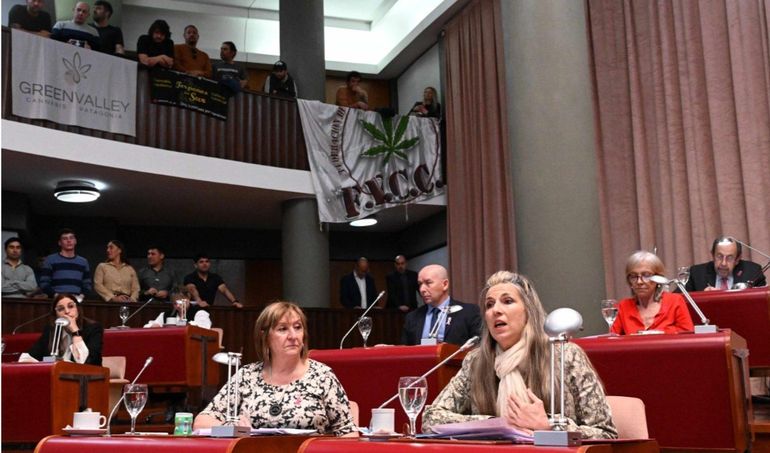 Los integrantes de distintas organizaciones pro cannabis siguieron la sesión desde las galerías de la Legislatura de Chubut. Los integrantes de distintas organizaciones pro cannabis siguieron la sesión desde las galerías de la Legislatura de Chubut. 