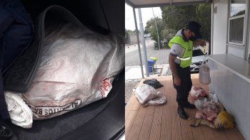 intento transportar 400 kilos de carne ilegal y lo atraparon intento transportar 400 kilos de carne ilegal y lo atraparon