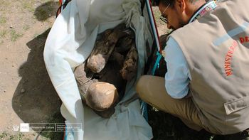 Momia. Perú.jpg