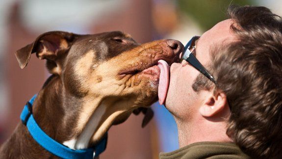 Abrió la inscripción para comercios pet friendly