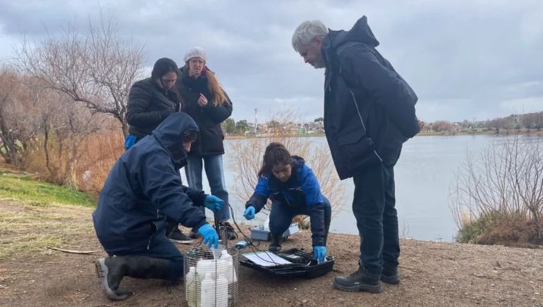 Científicos de Chubut trabajan en la laguna Chiquichano, de Trelew. Científicos de Chubut trabajan en la laguna Chiquichano, de Trelew.