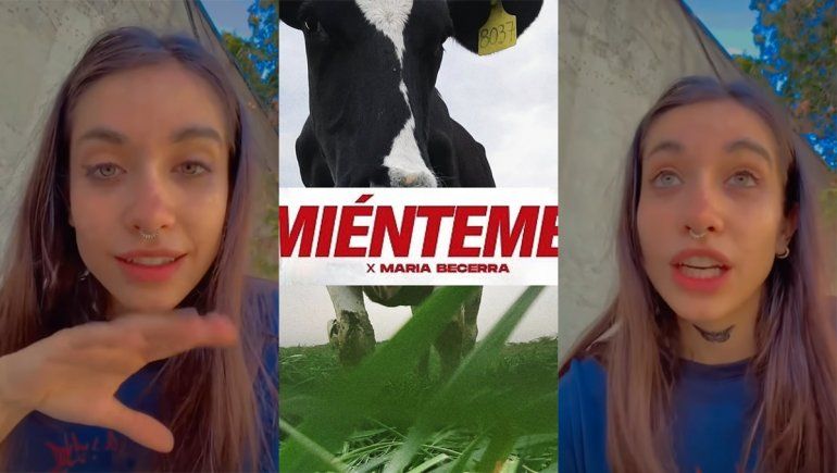 La guerra menos pensada: María Becerra contra los tamberos