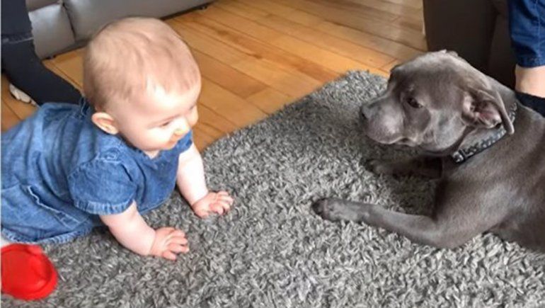 Este par no deja de sumar reproducciones en YouTube