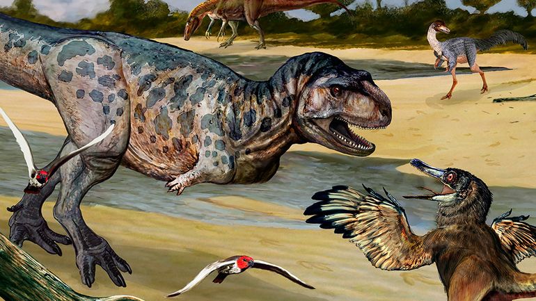 Elemgasem nubilus se contaba dentro de los principales grupos de dinosaurios depredadores (Ilustración: Abel Germán Montes).