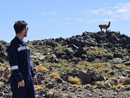 neuquen realizo mas de 800 inspecciones ambientales durante 2025 neuquen realizo mas de 800 inspecciones ambientales durante 2025