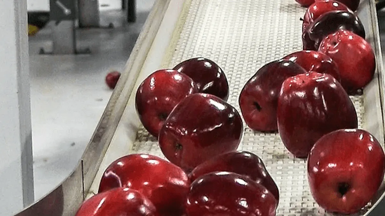 La manzana chilena, en la mira de las importaciones.