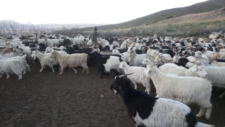 La emotiva despedida de la familia al criancero Chuma Sura