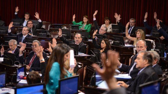 El Senado convirtió en ley la declaración de emergencia social