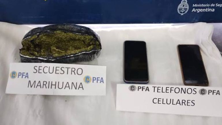 Los celulares incautados a la pareja bajo sospecha solo tenían imágenes de plantas de Cannabis sativa. Los celulares incautados a la pareja bajo sospecha solo tenían imágenes de plantas de Cannabis sativa.